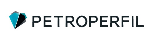 PETTROPERFIL IND�STRIA DE PERFIS PL�STICOS LTDA-EPP